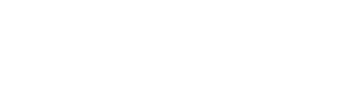 JaggeGuitars JaggeGuitars
